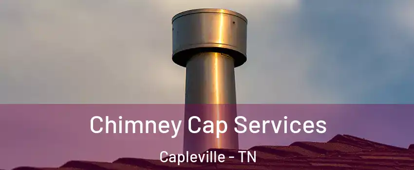 Chimney Cap Services Capleville - TN