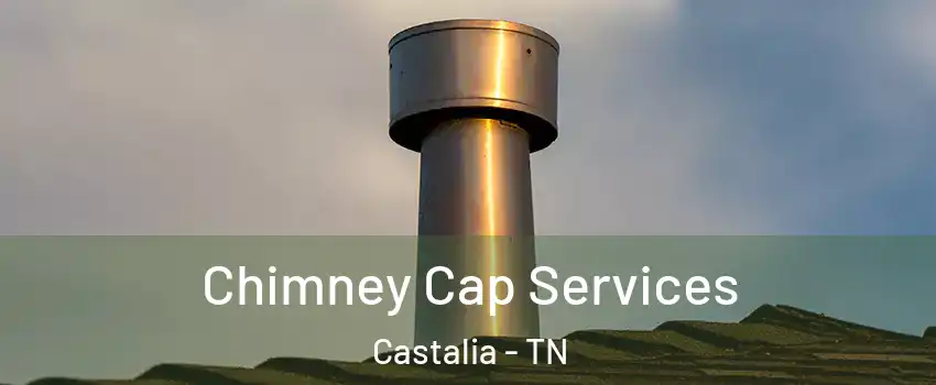 Chimney Cap Services Castalia - TN