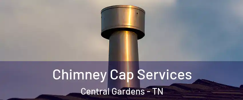 Chimney Cap Services Central Gardens - TN