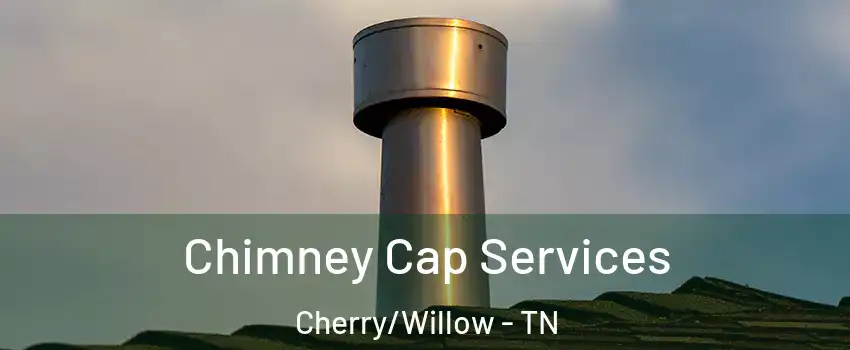 Chimney Cap Services Cherry/Willow - TN