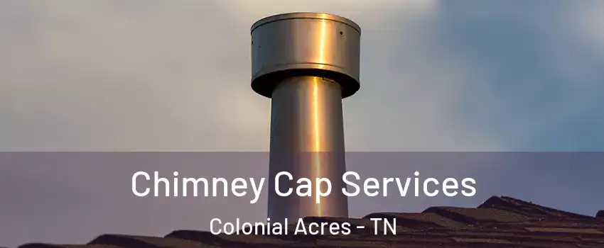 Chimney Cap Services Colonial Acres - TN