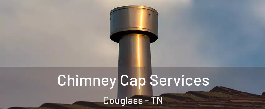 Chimney Cap Services Douglass - TN