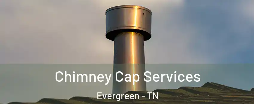 Chimney Cap Services Evergreen - TN