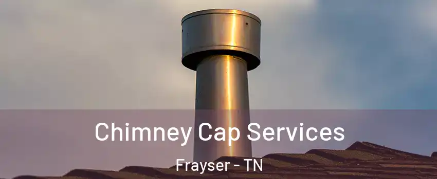 Chimney Cap Services Frayser - TN