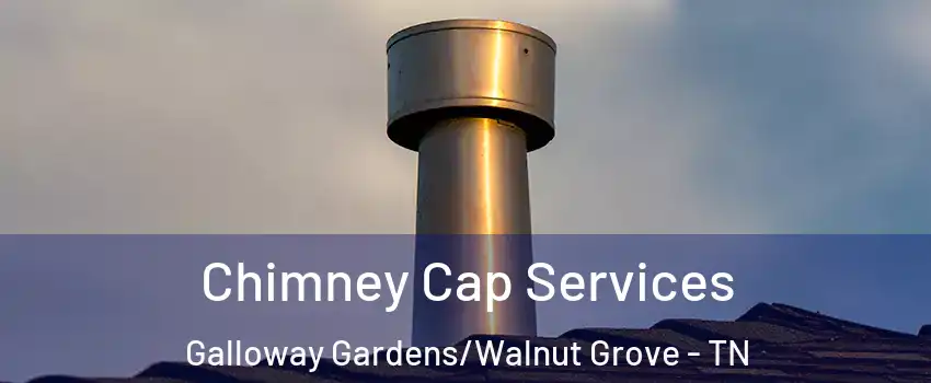 Chimney Cap Services Galloway Gardens/Walnut Grove - TN