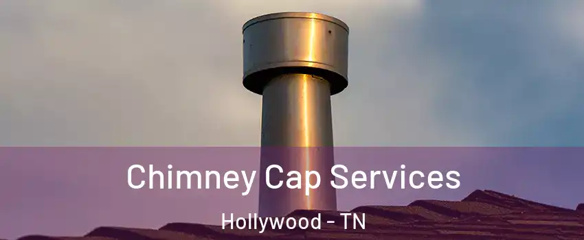 Chimney Cap Services Hollywood - TN