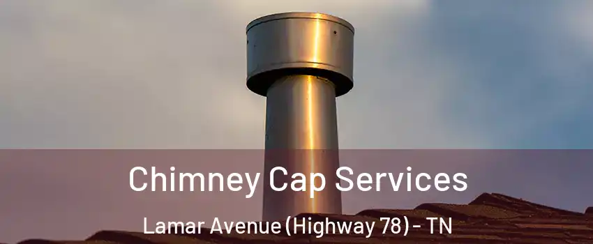 Chimney Cap Services Lamar Avenue (Highway 78) - TN