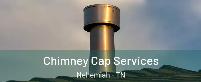 Chimney Cap Services Nehemiah - TN