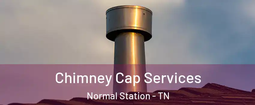 Chimney Cap Services Normal Station - TN