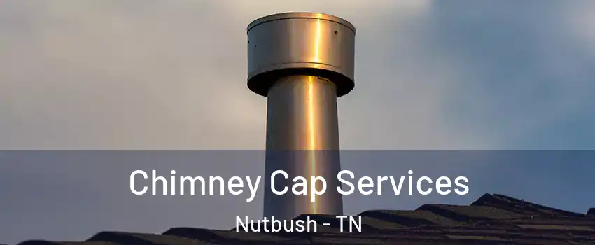 Chimney Cap Services Nutbush - TN