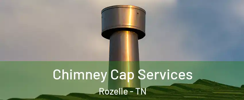 Chimney Cap Services Rozelle - TN