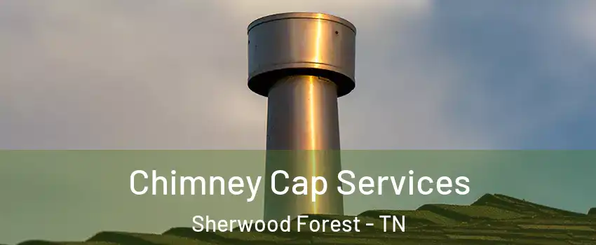 Chimney Cap Services Sherwood Forest - TN