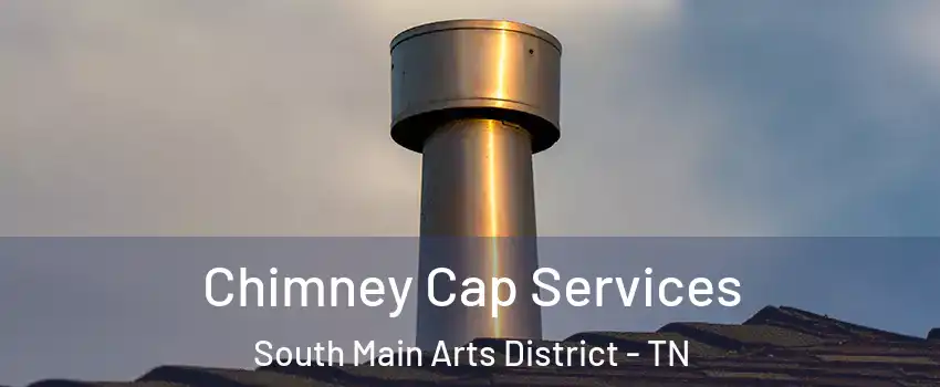 Chimney Cap Services South Main Arts District - TN