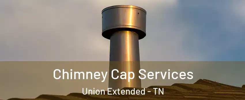 Chimney Cap Services Union Extended - TN