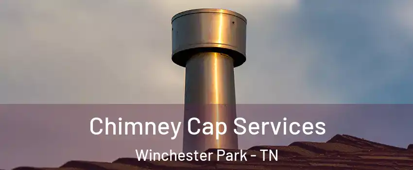 Chimney Cap Services Winchester Park - TN