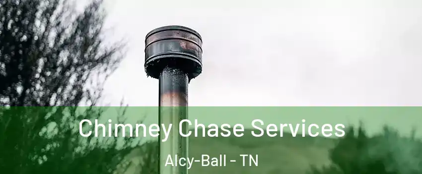 Chimney Chase Services Alcy-Ball - TN