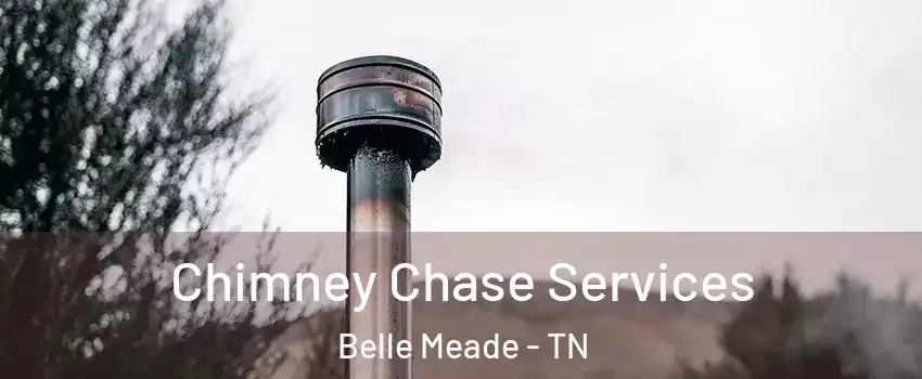 Chimney Chase Services Belle Meade - TN