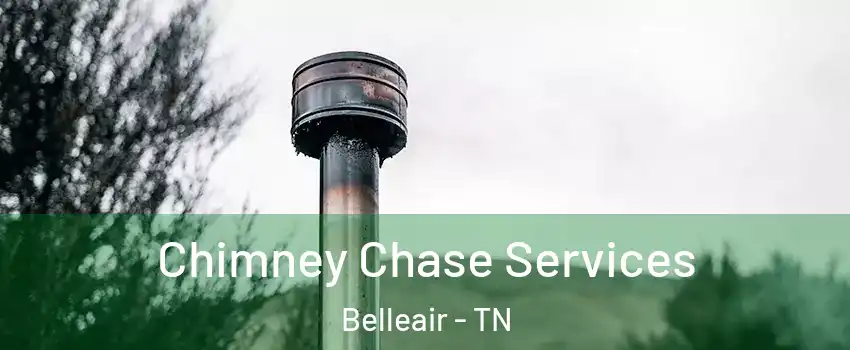 Chimney Chase Services Belleair - TN