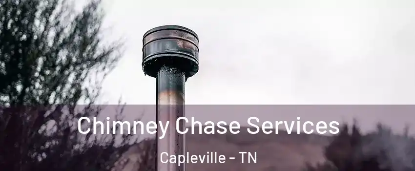 Chimney Chase Services Capleville - TN