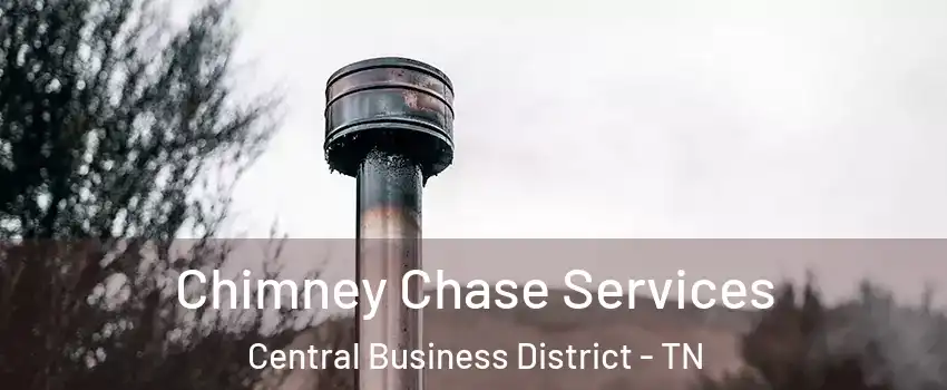 Chimney Chase Services Central Business District - TN