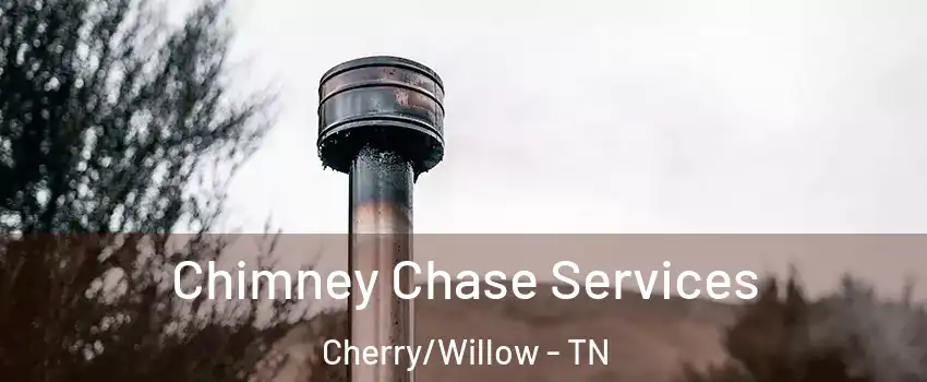 Chimney Chase Services Cherry/Willow - TN