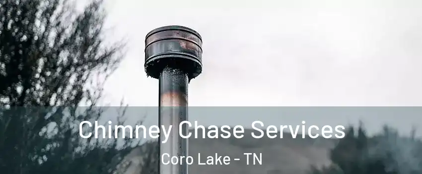 Chimney Chase Services Coro Lake - TN