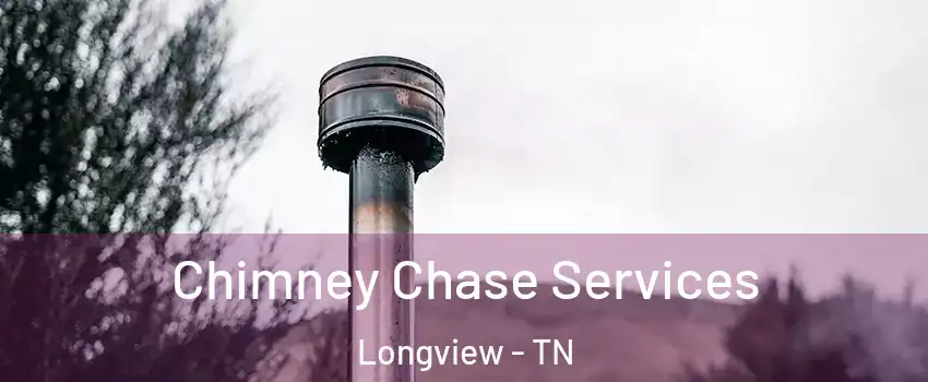 Chimney Chase Services Longview - TN