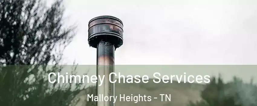 Chimney Chase Services Mallory Heights - TN