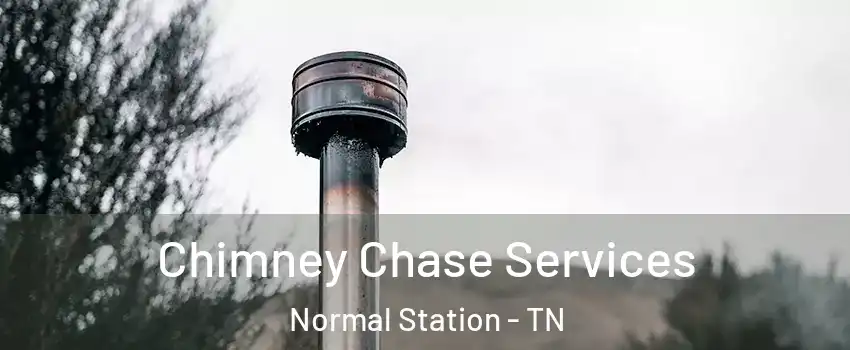 Chimney Chase Services Normal Station - TN