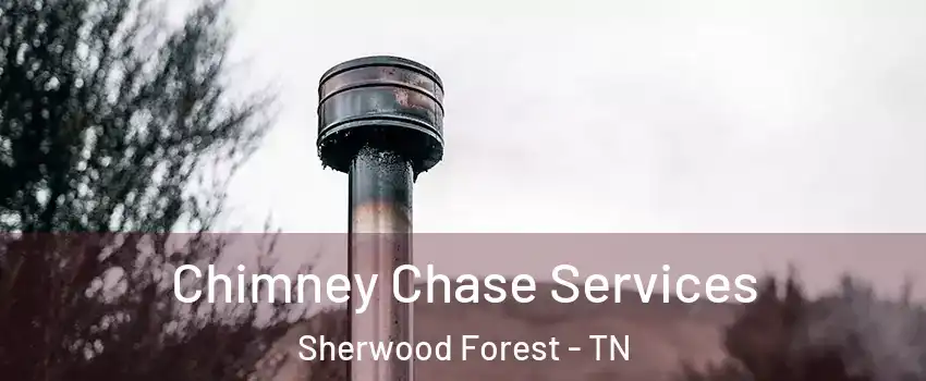 Chimney Chase Services Sherwood Forest - TN