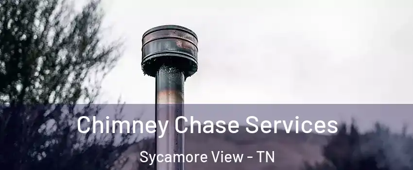 Chimney Chase Services Sycamore View - TN