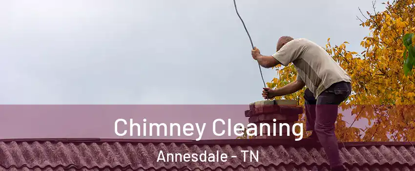 Chimney Cleaning Annesdale - TN