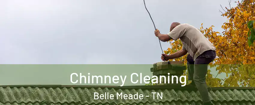 Chimney Cleaning Belle Meade - TN