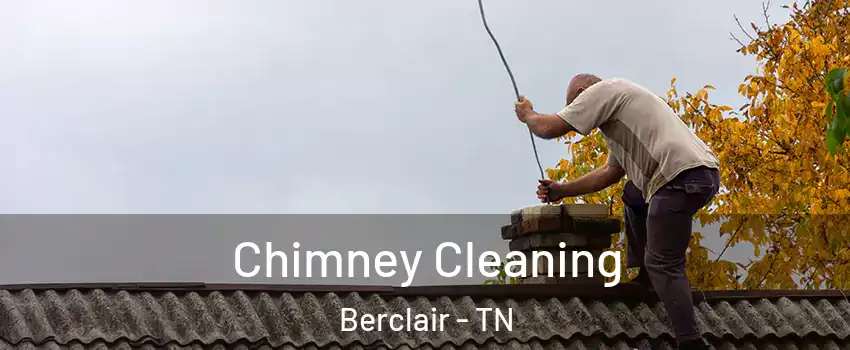 Chimney Cleaning Berclair - TN