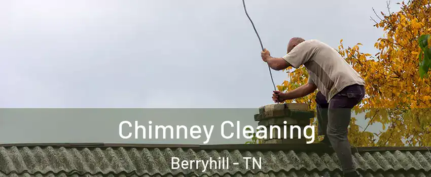 Chimney Cleaning Berryhill - TN