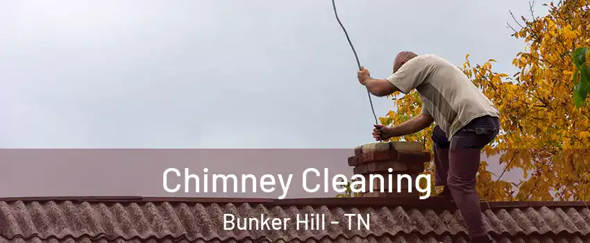 Chimney Cleaning Bunker Hill - TN