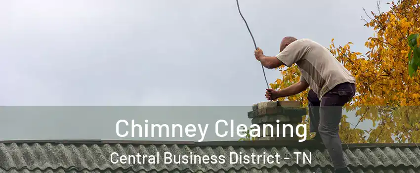 Chimney Cleaning Central Business District - TN