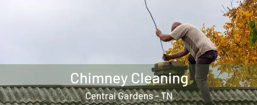 Chimney Cleaning Central Gardens - TN