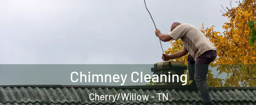 Chimney Cleaning Cherry/Willow - TN