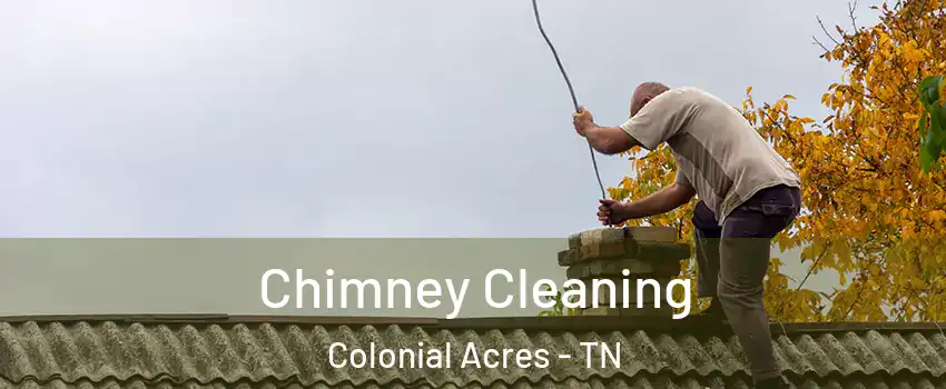 Chimney Cleaning Colonial Acres - TN