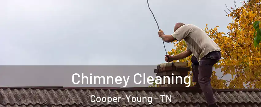 Chimney Cleaning Cooper-Young - TN