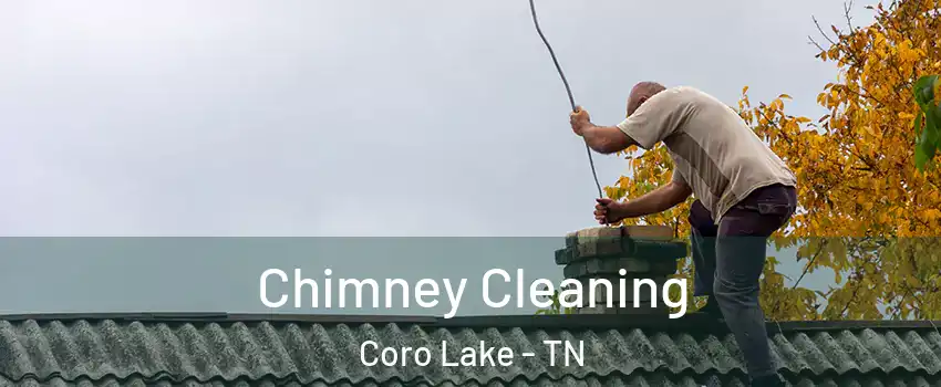 Chimney Cleaning Coro Lake - TN