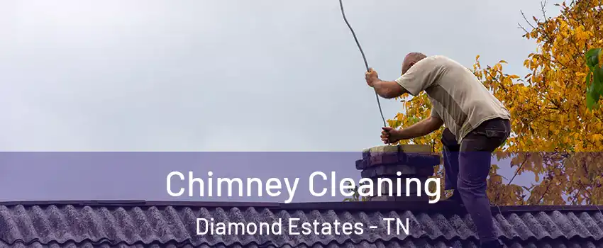 Chimney Cleaning Diamond Estates - TN