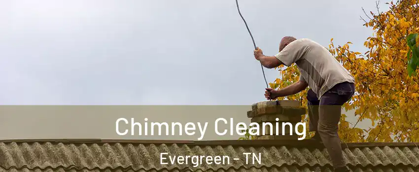 Chimney Cleaning Evergreen - TN