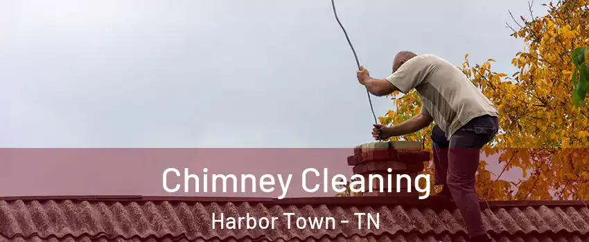 Chimney Cleaning Harbor Town - TN