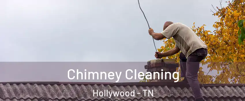 Chimney Cleaning Hollywood - TN