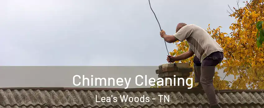 Chimney Cleaning Lea's Woods - TN