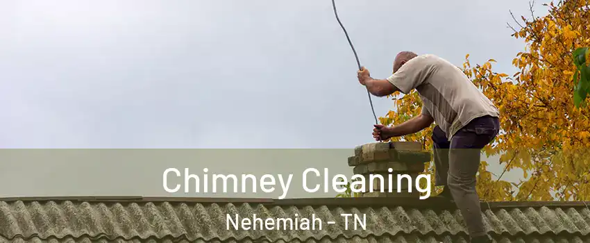 Chimney Cleaning Nehemiah - TN