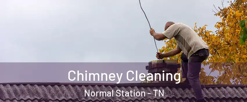 Chimney Cleaning Normal Station - TN