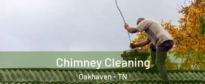 Chimney Cleaning Oakhaven - TN